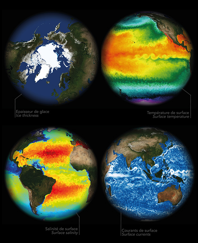Globes showing global Ocean SST, Currents, Sea Ice, Surface salinity
