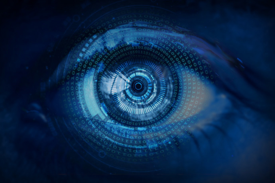 UEF2022 image of eye overlaid by data UEF2022 image of eye overlaid by data