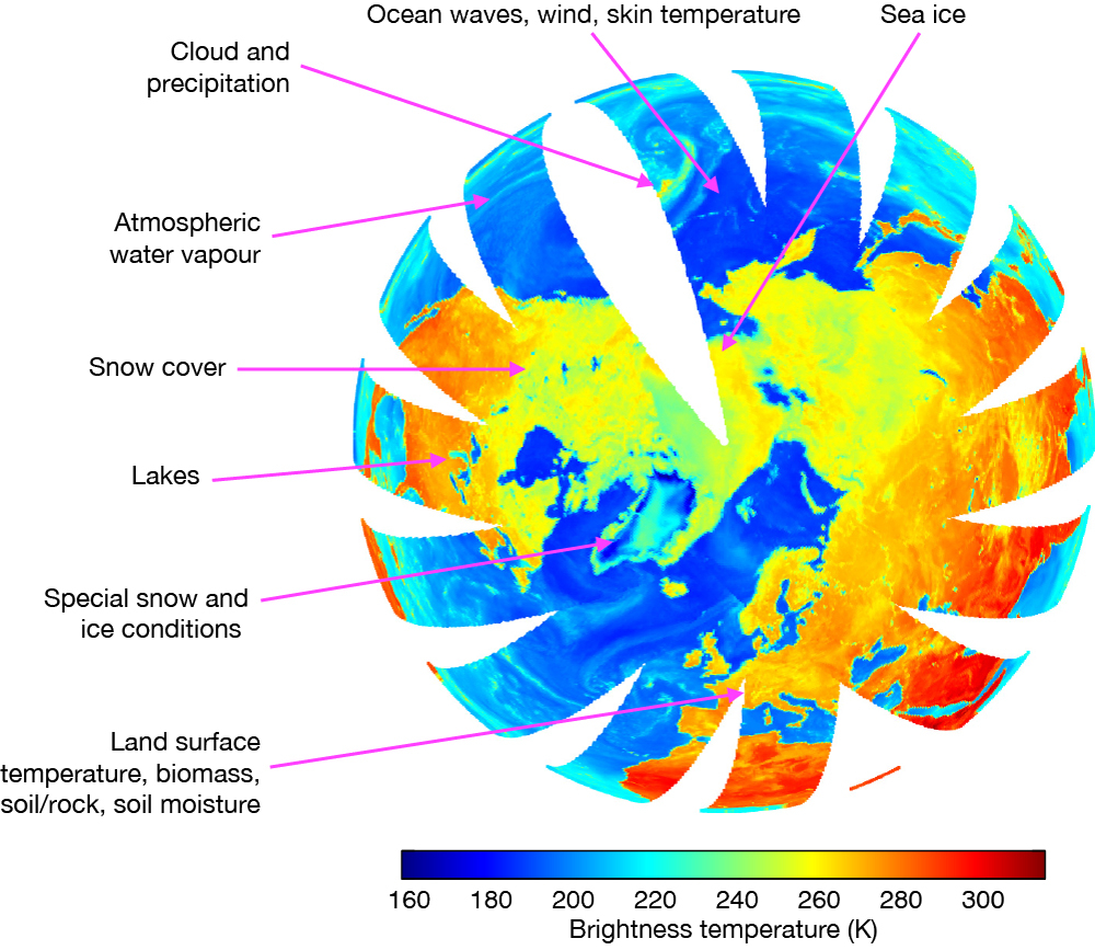 Combining machine learning and data assimilation to estimate sea 